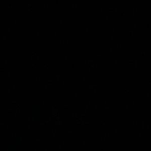 Meet your Posher, Anne